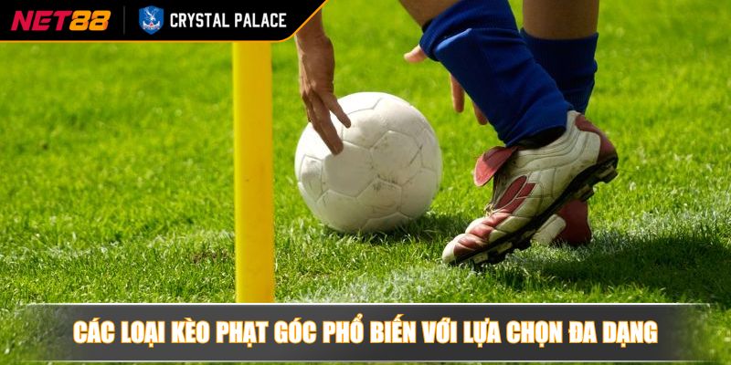 Kèo Phạt Góc NET88 | Lối Đi Riêng Đầy Lợi Nhuận Cho Bet Thủ 3 Các loại kèo phạt góc phổ biến với lựa chọn đa dạng