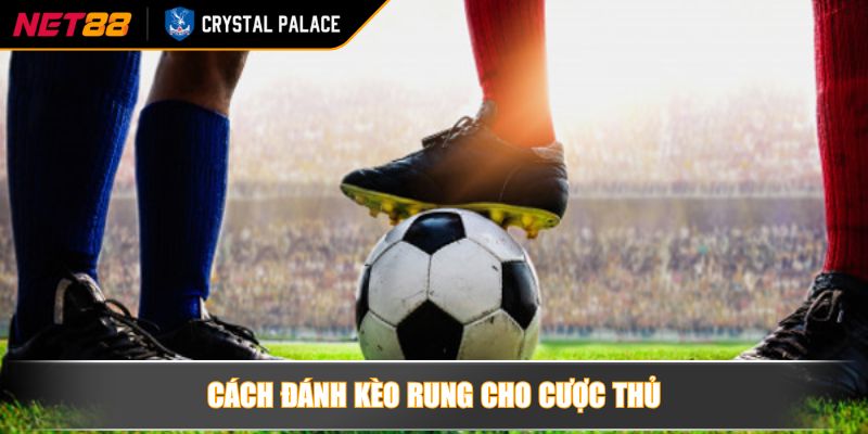 Kèo rung là gì? Những điều mà bet thủ cần phải biết 3 Cách đánh kèo rung cho cược thủ