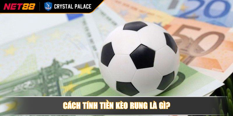 Kèo rung là gì? Những điều mà bet thủ cần phải biết 4 Cách tính tiền kèo rung là gì?